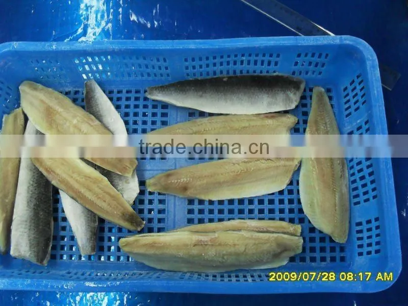 Herring frozen fillet