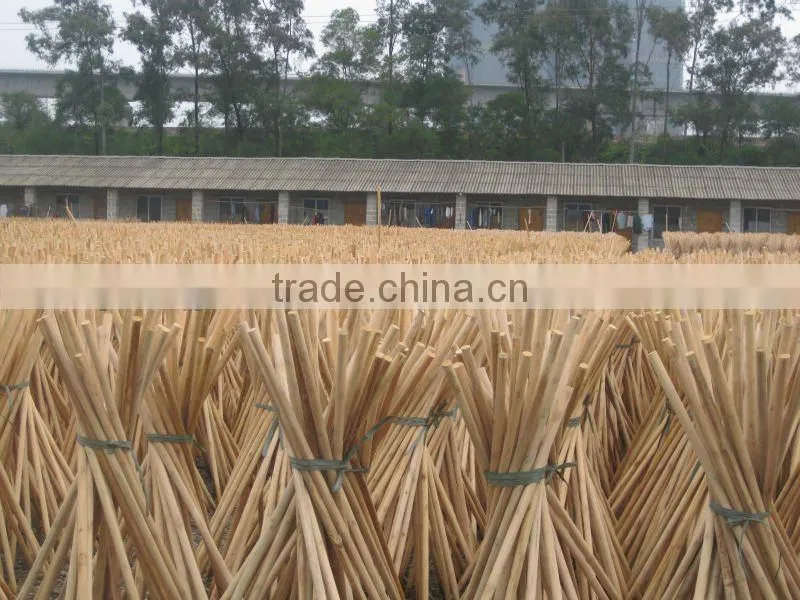 wholesale natural eucalyptus vineyard grape stakes for plant support
