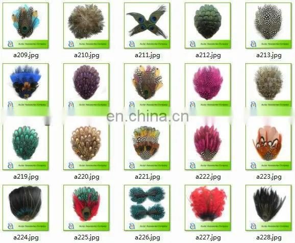 Wholesale! Natural Peacock Feather headband