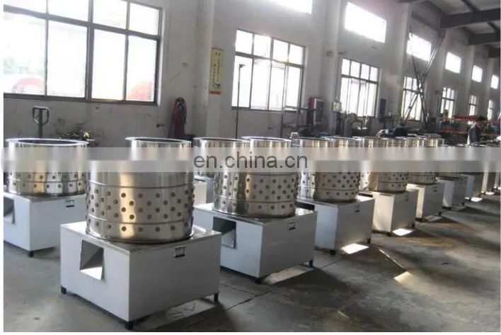 Broiler chicken machine / plucking quails / bird cleaning machine small bird