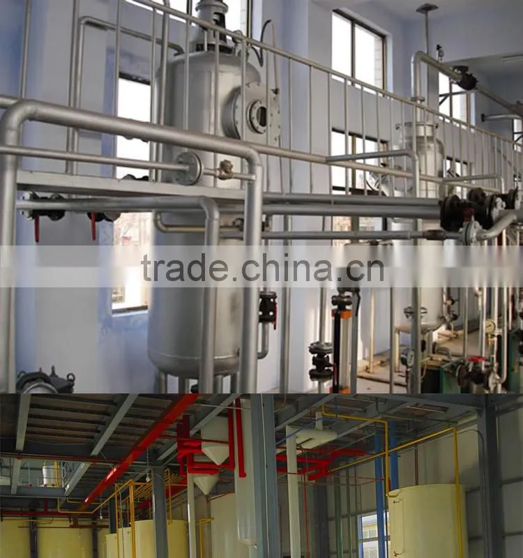Avocado oil cold press machine with ISO CE Certification