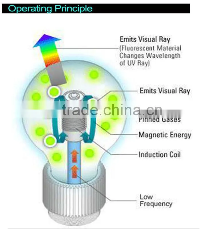 18W 2700K modern Self-ballasted induction Lamp
