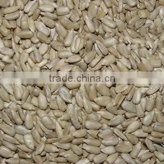 Sunflower seed kernels