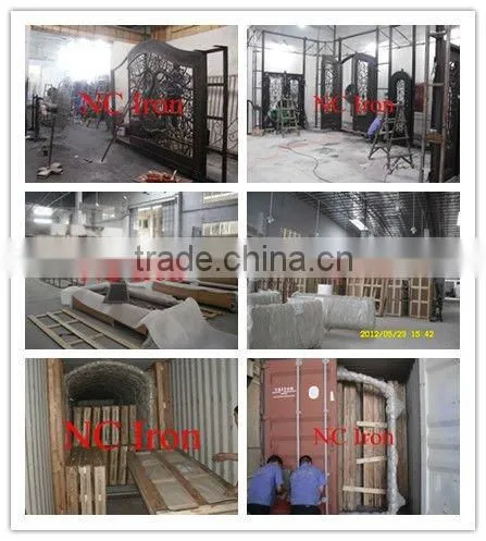 Securirty Iron Door