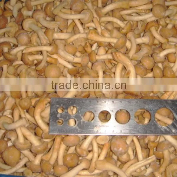 Iqf Frozen Nameko