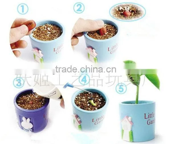 Message bean in cartoon pot, magic bean