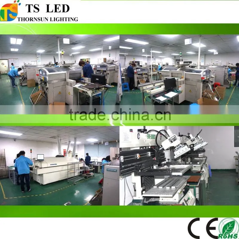 IP20 IP65 addressable flexible led strips ws2812b 60 leds/m