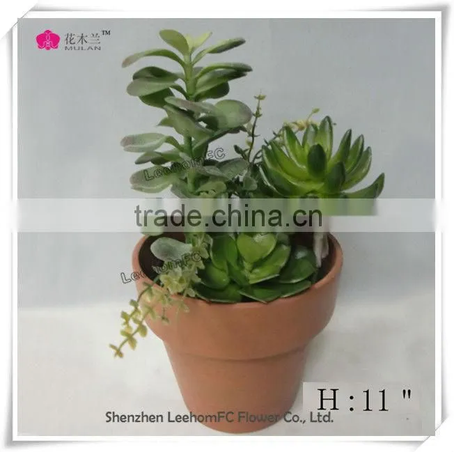 quality super realistic green mini succulent plants bonsai