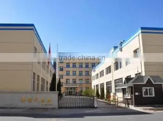 Dalian Golden Time Enterprise Co., Ltd. company overview - view 1