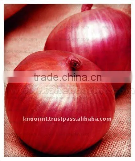 Red Onion Seeds | GX#120