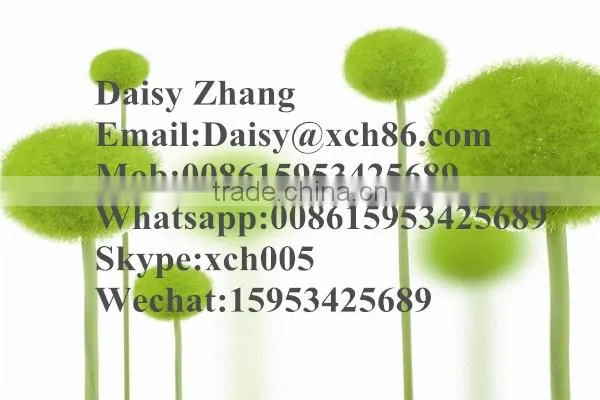 Manufacturer Nipple Drinkers Bird (Whatsapp:008615953425689)