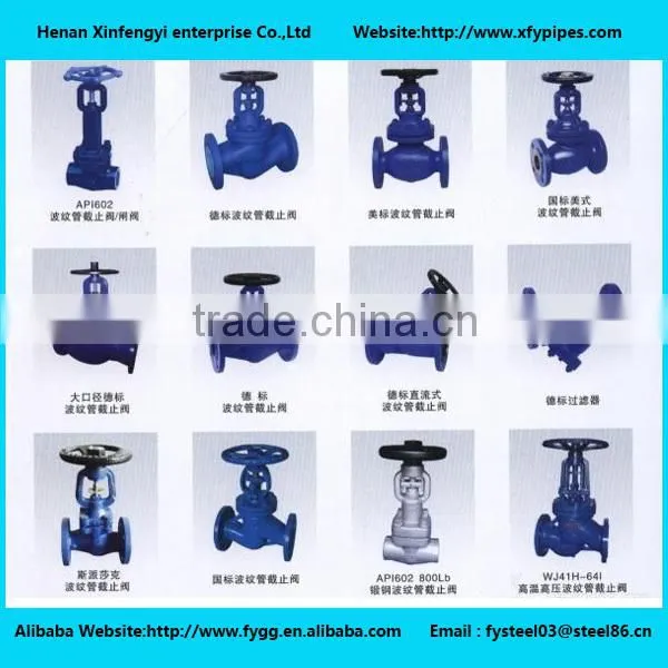 DIN Cast Iron Angle Globe Valve