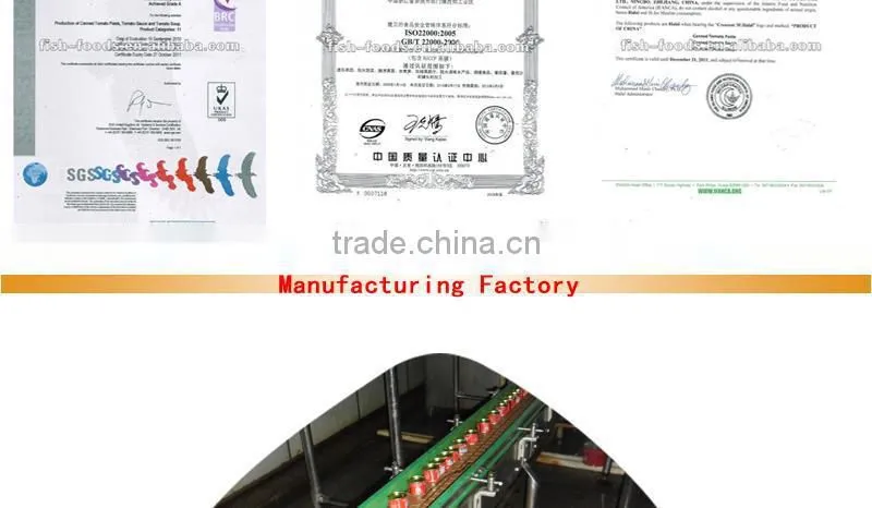 Tomato paste factory good quality/good service 70gX50tins