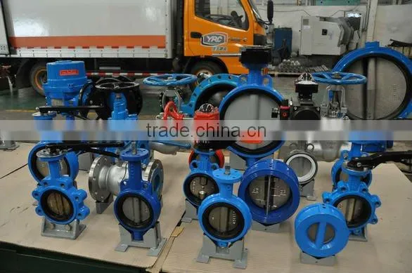 800 Series Cast iron dual plate wafer check valve