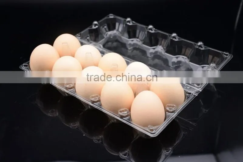 sell plastic egg box for sale