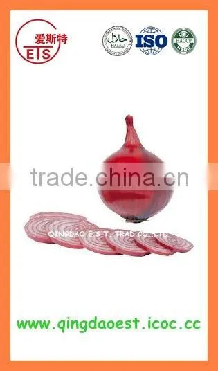 Bulk chinese Best quality fresh red onion