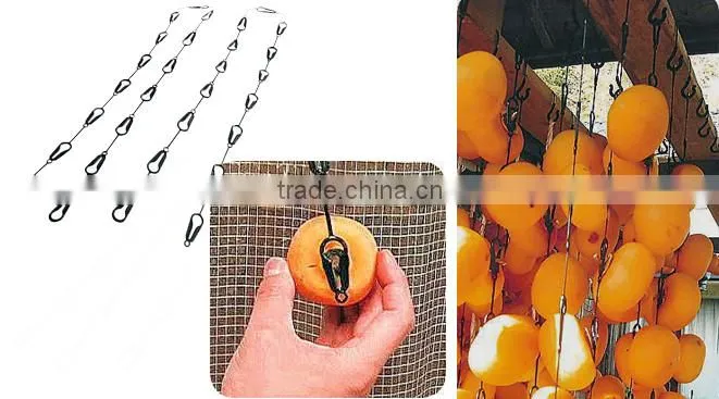 Japanese Kaki persimmon fruit drying clip Made in Japan