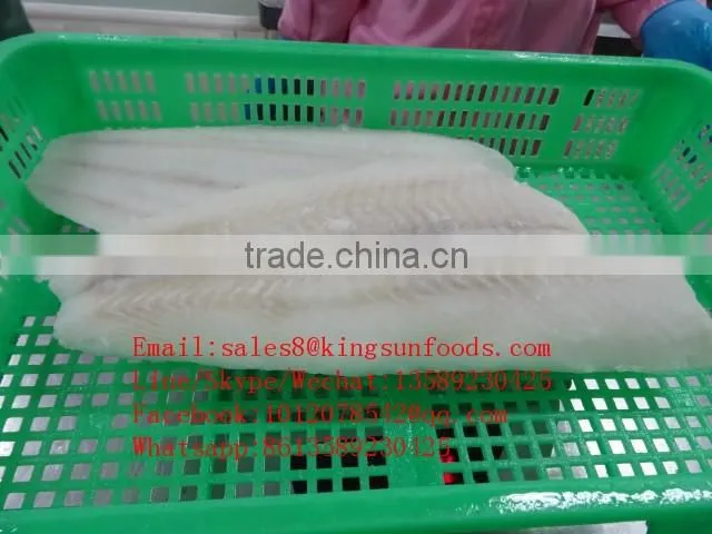 Hot sale Arrowtooth Flounder Fillet Best taste and Hot Sale