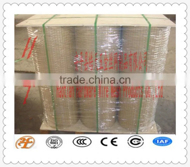 zinc/PVC coated electro/hot dipped galvanized stainless steel 304 welded wire mesh construction mesh cage welded wire mesh roll