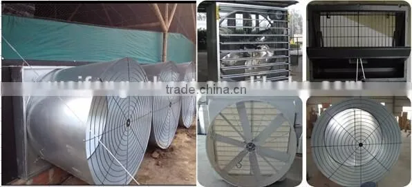 Hot sale!automatic broiler feeding system