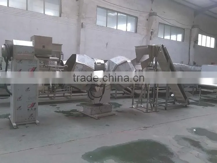 Best selling pet cat dog food processing line/Cheap price custom pet cat food processing machine with high quality