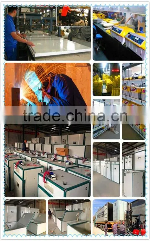 used poultry chicken incubator for sale