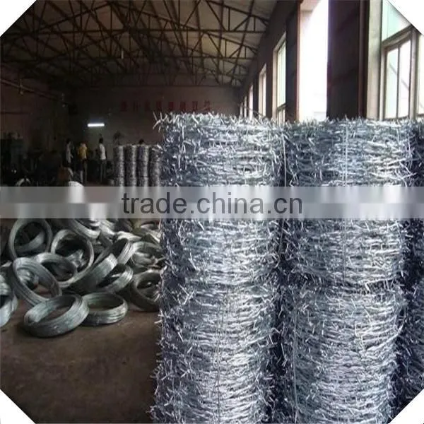 high quality antique barbed wire for sale / 12#*14# galvanized barbed wire