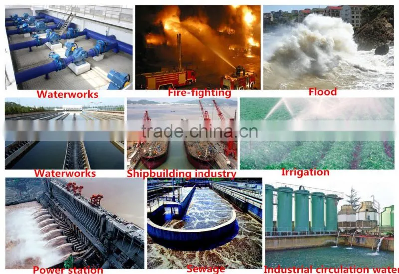 High flow rate Farm irrigation pump with diesel engine