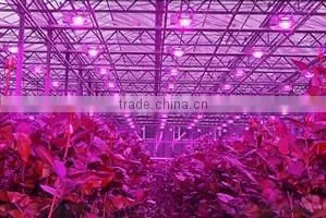 grow light 150w vanq indoor led Plant lamp full specturm cob led
