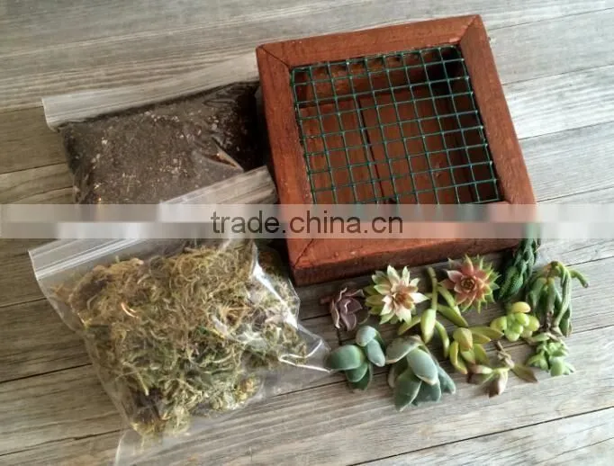 Outdoor Wooden Flower Pot, FSC Wood Planter, Planter Box