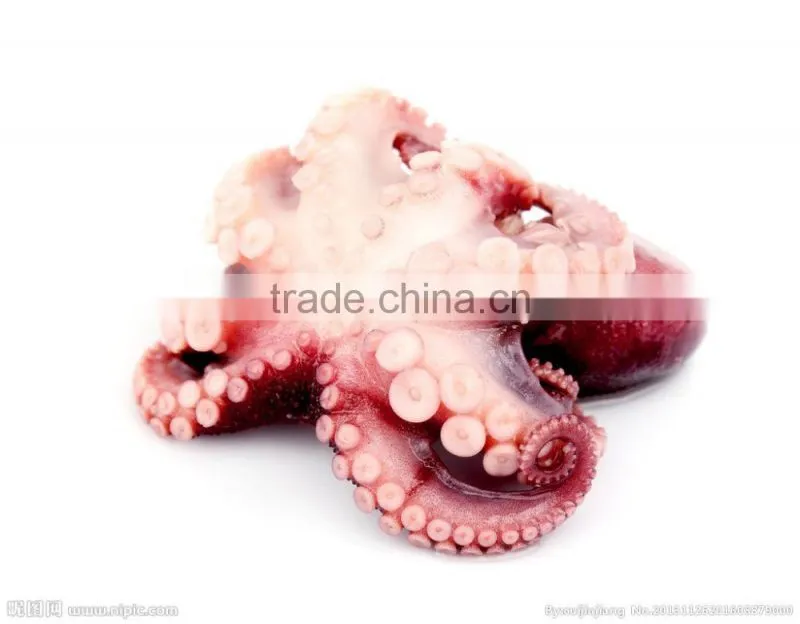 new arrival wholesale health iqf frozen boiled octopus whole round
