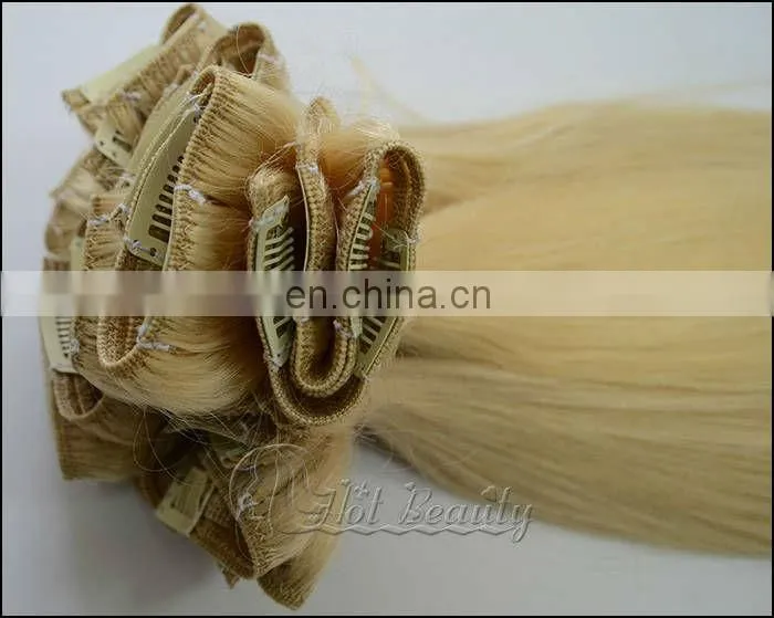 European/Indian/Brazilian Clip In Hair Extensions