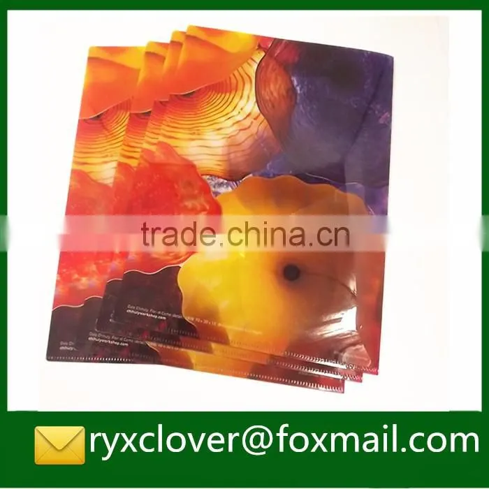 Factory price a4 size clear eco-friendly plastic file with card holder