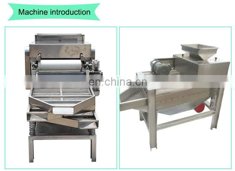 Hot Sale Automatic Peanut Crushing Almond Chopping Chestnut Cutting Machine Nut Dicing Chopper Machine