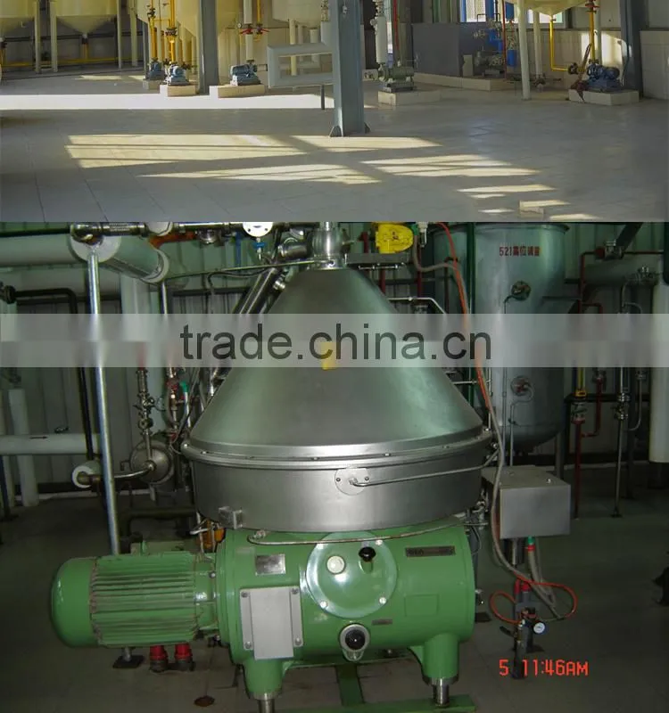 Avocado oil cold press machine with ISO CE Certification