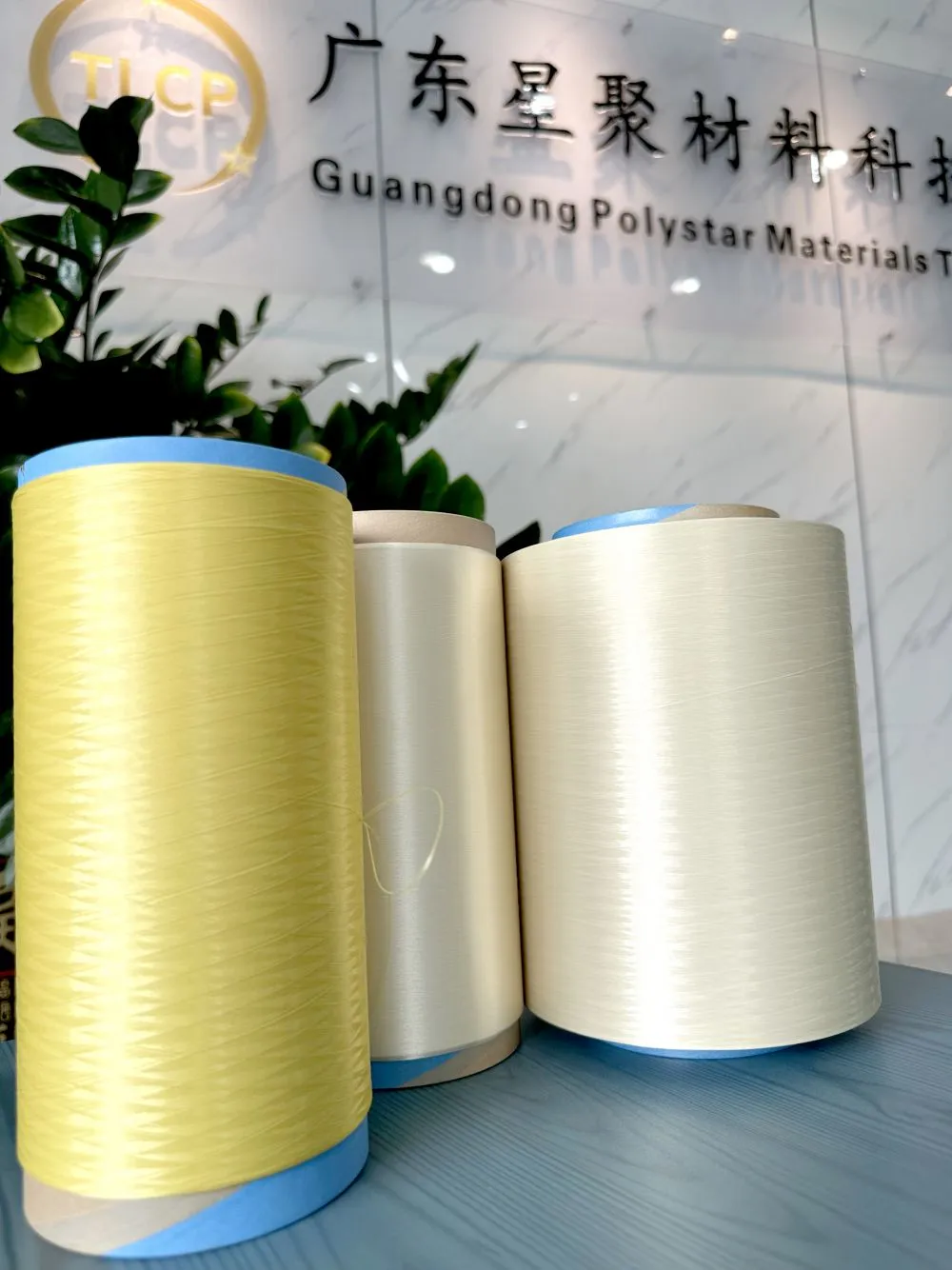 LCP Filment Yarn 56.jpg.webp