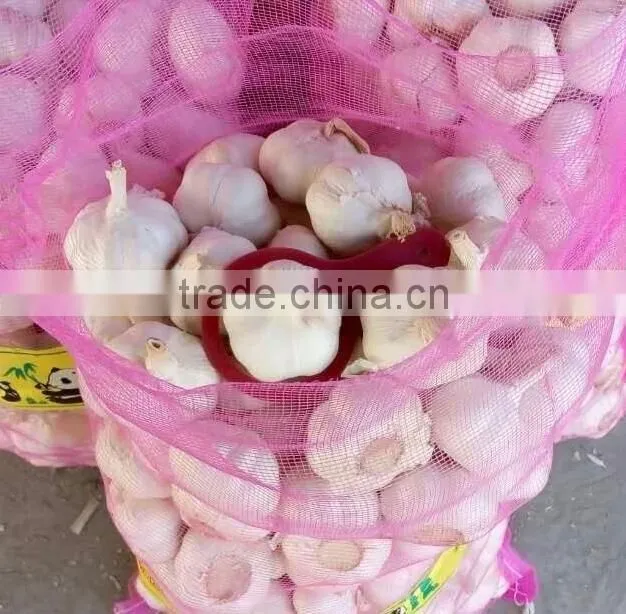 pure white garlic