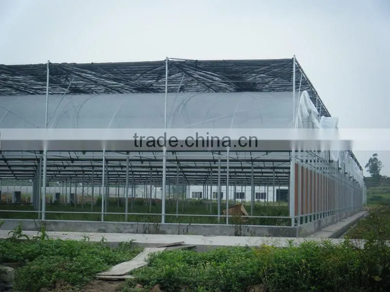 Galvanized Steel Frame Greenhouse