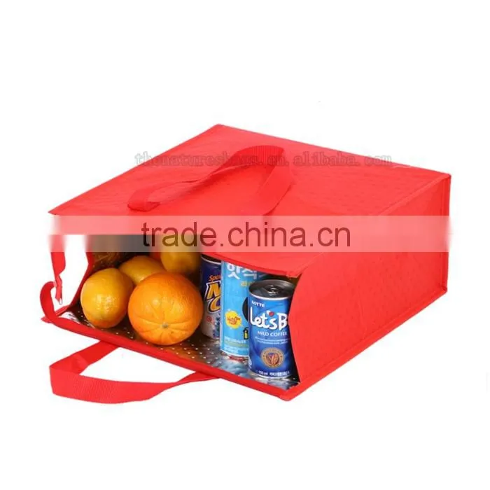 Lowest Price Glassic Frozen Food Promotional Nylon Insulated Cooler Bag