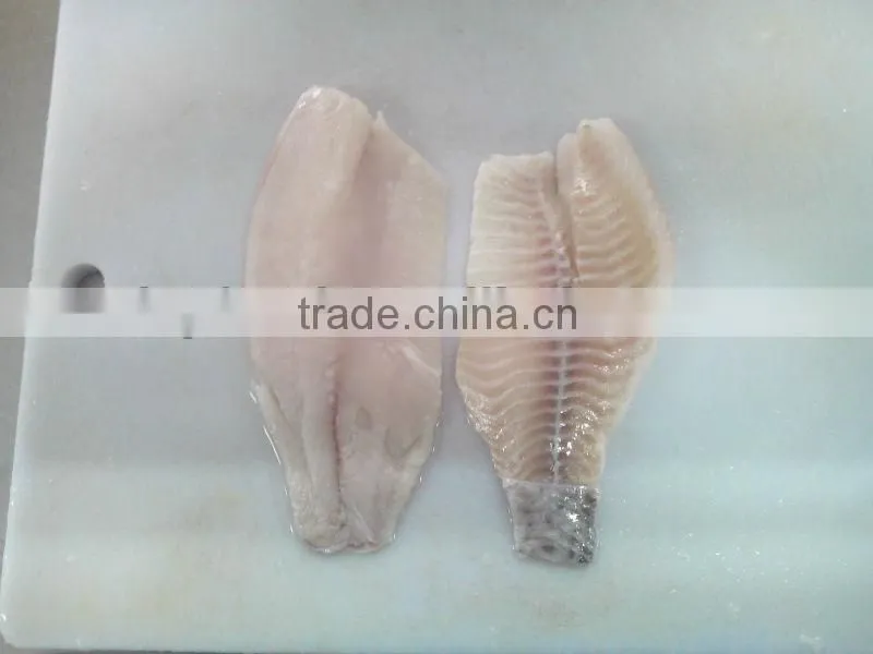 Frozen Tilapia fillet fish