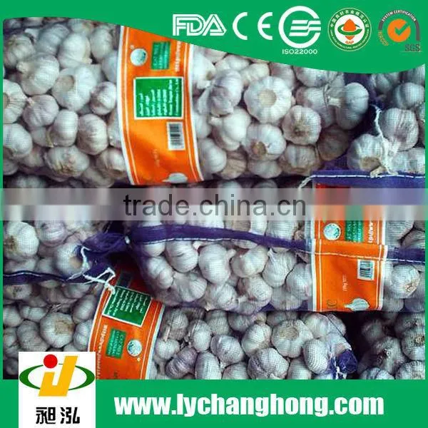2015 new crop normal white garlic