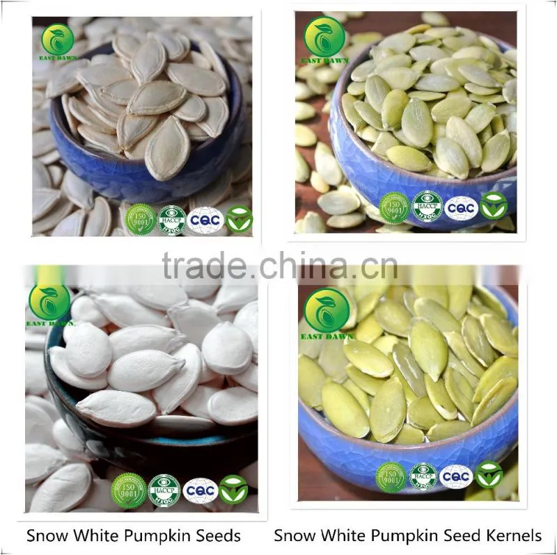 Wholesale Raw Sunflower Seeds 5009 From Chinese Sunflower Seeds