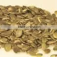 Pure Carrot Seed Oil ISO/GMP
