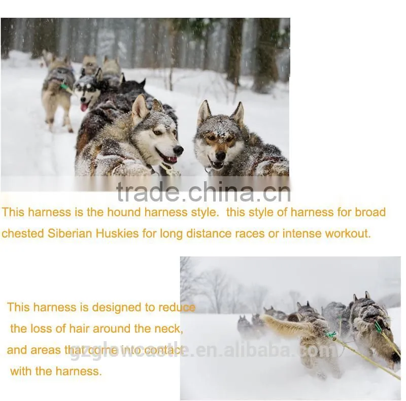 Wholesale Siberian Race harness