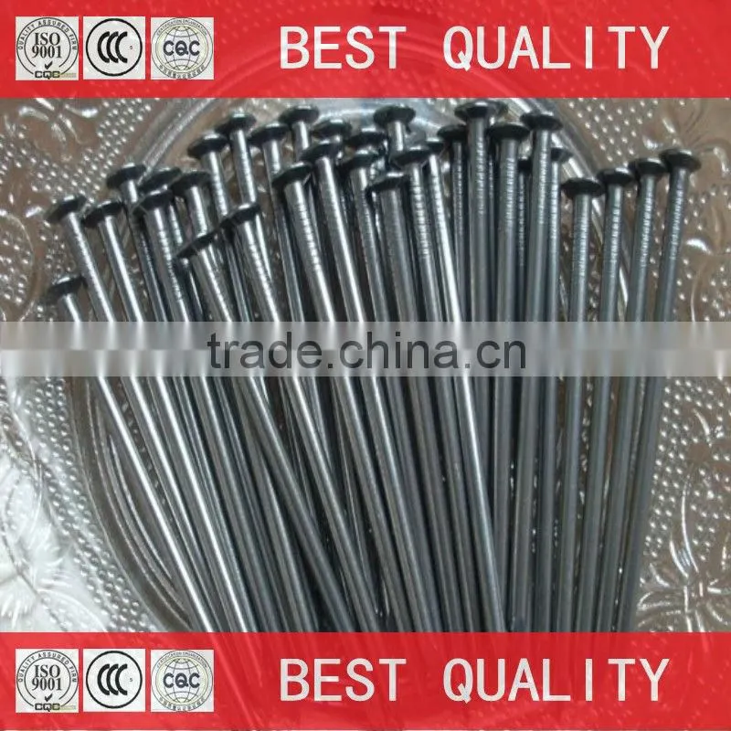 china best quality canton fair common nail