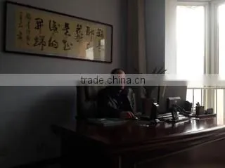Xingtai Shuangyi Auto Parts Manufacturing Co., Ltd. company overview - view 2