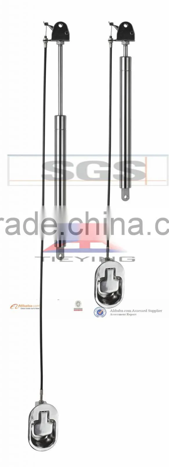 stainless steel gas springs/gas struts/lifts