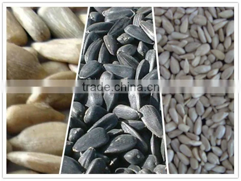 Oil Sunflower seed kernels (bakery grade)