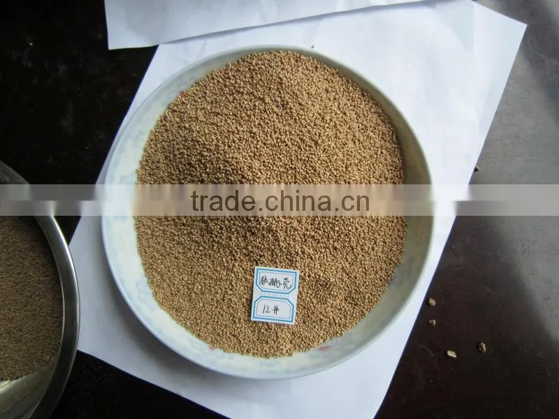Competitive price walnuts in shell/walnut shell powder for water-oil separation.