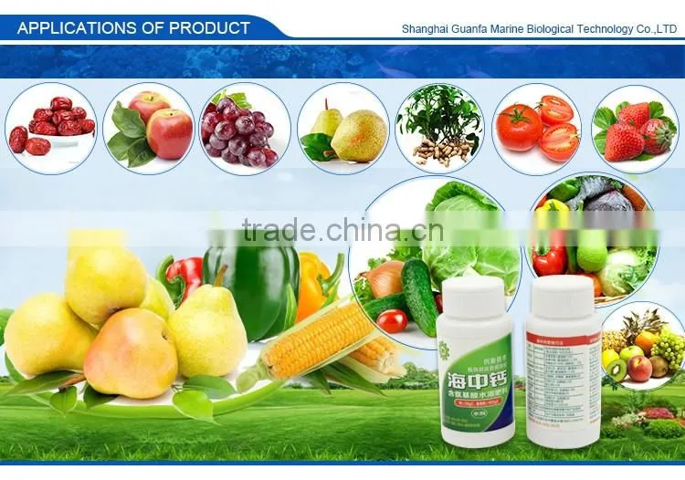 Low price guaranteed quality calcium amino acid